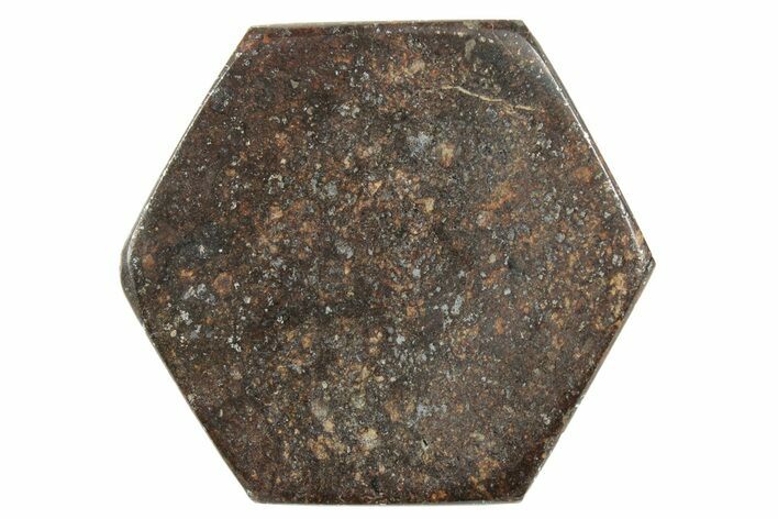 Stony Chondrite Cabochon ( g) - Meteorite #238185